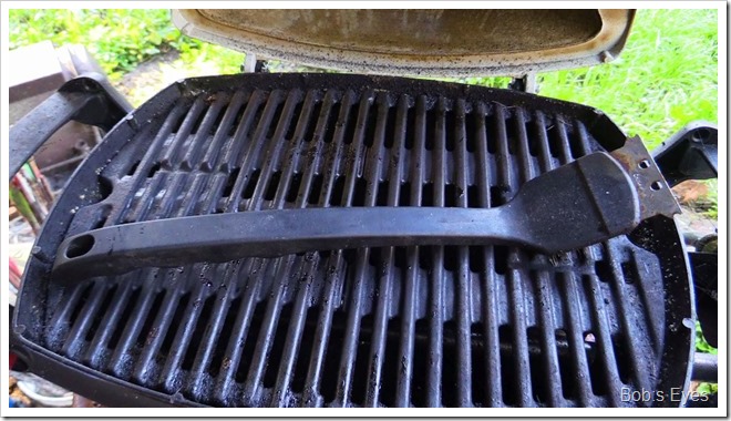 bbqbrush