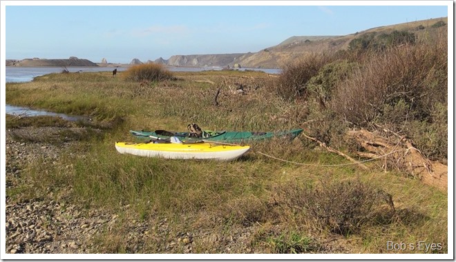 kayaks