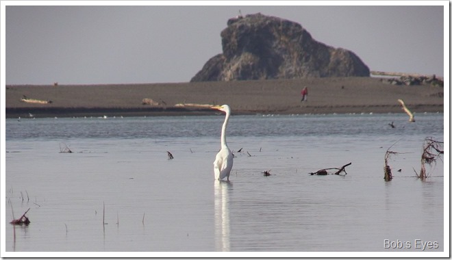 greategret