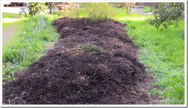 mulch