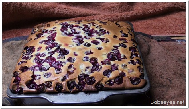 blueberrycake