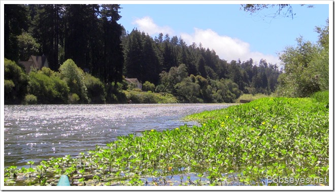 russianriver