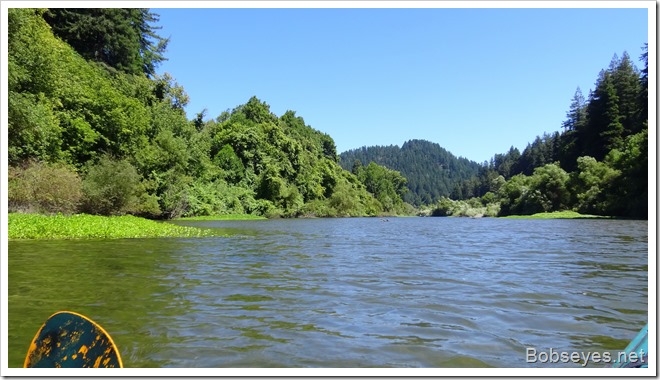 russianriver