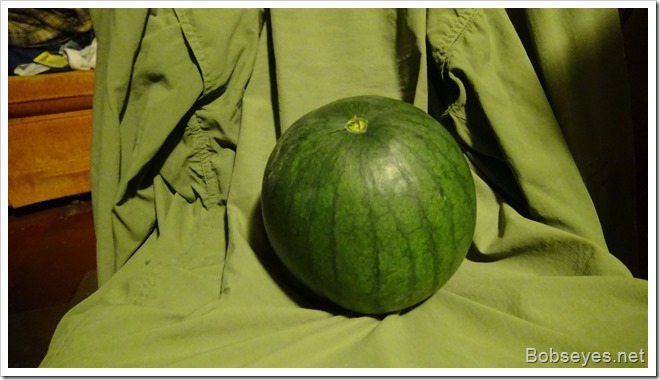 mellon