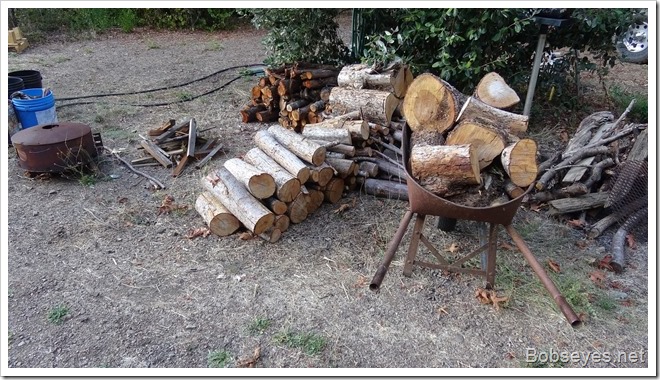 woodpile