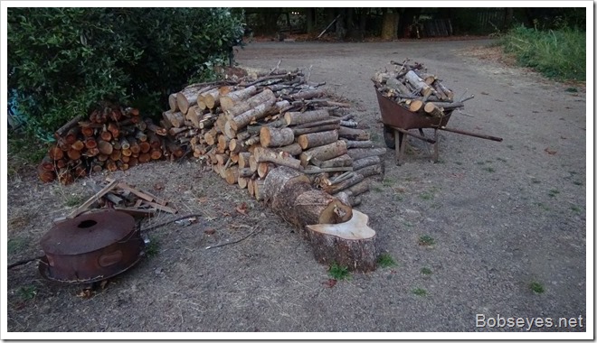 woodpile