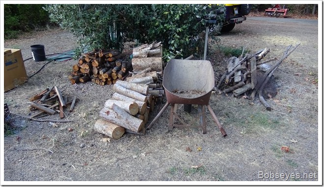 woodpile