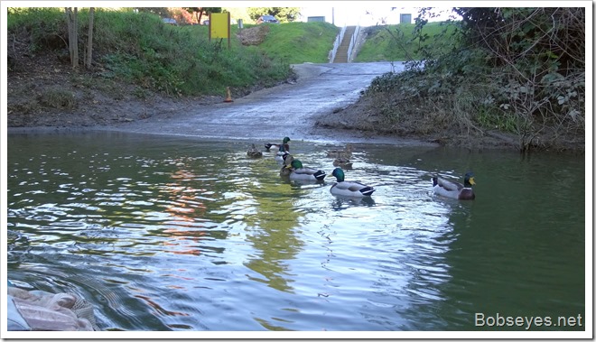 boatramp