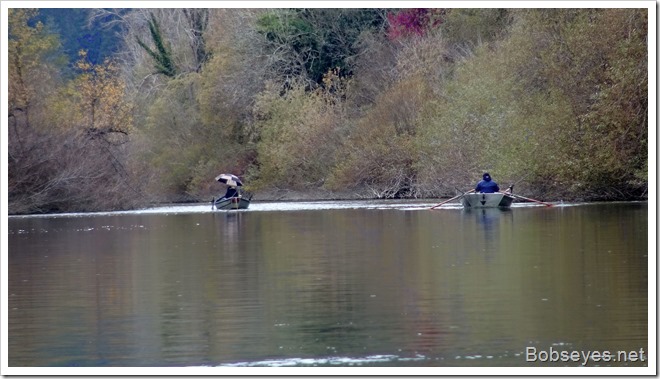 fishing