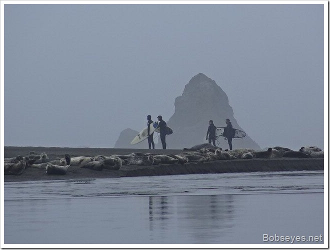 surfers